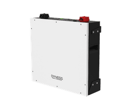 Dyness 5.0kWh Lithium Battery (Low Voltage) - View 2
